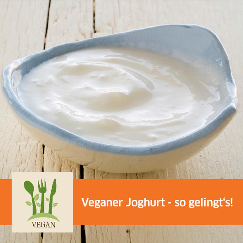 Rezept für einen veganen Joghurt